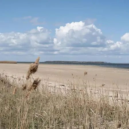 Casa de Férias Koserow, Usedom, 8 Pers., Hunde Erlaubt *